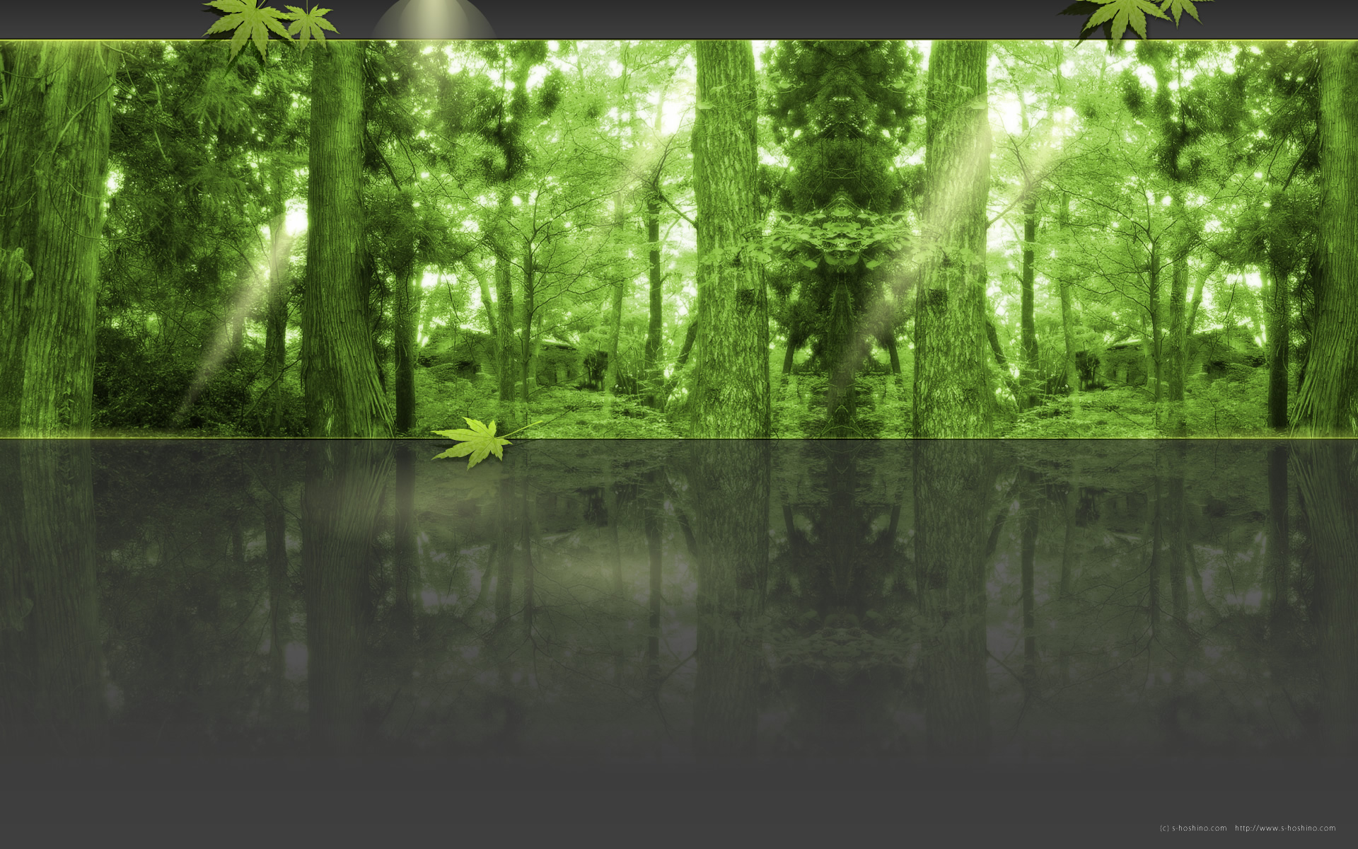 トップページのスライド画像